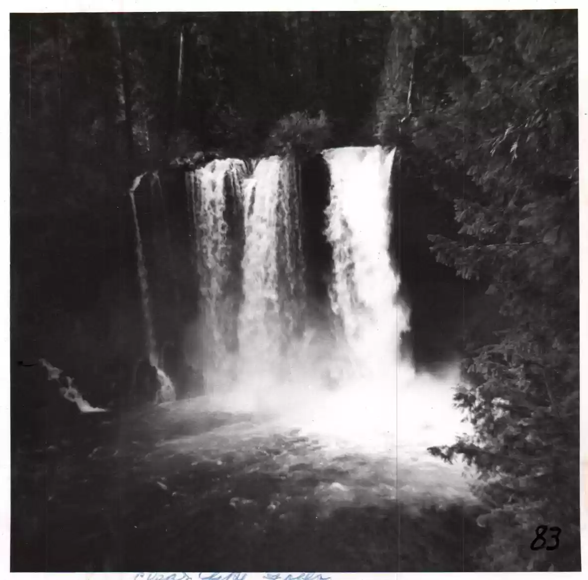 84 - Clear Lake Falls, OR